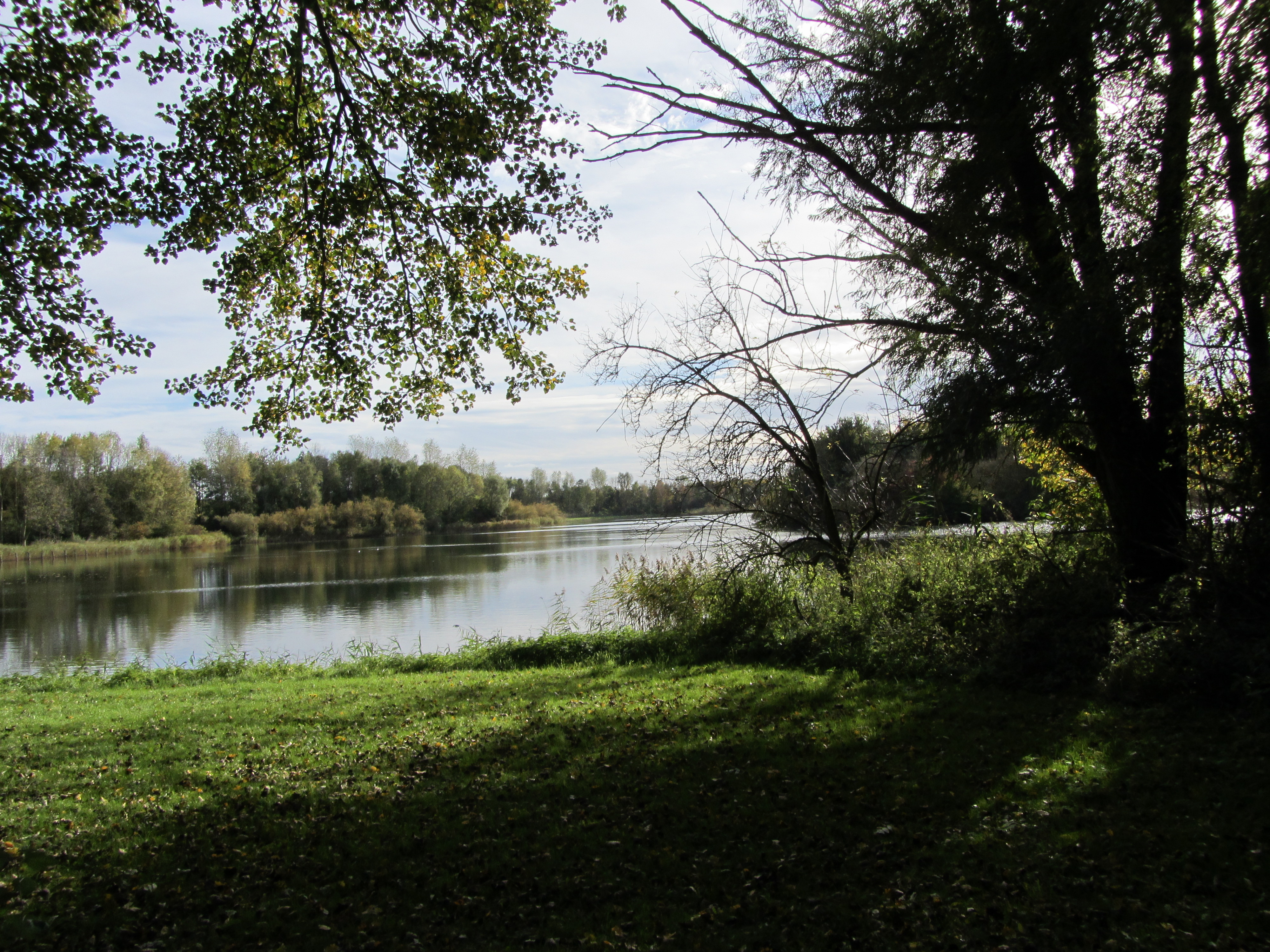 Ipad Marianne 105.JPG